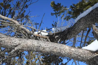 DSC_4911 (Large).JPG